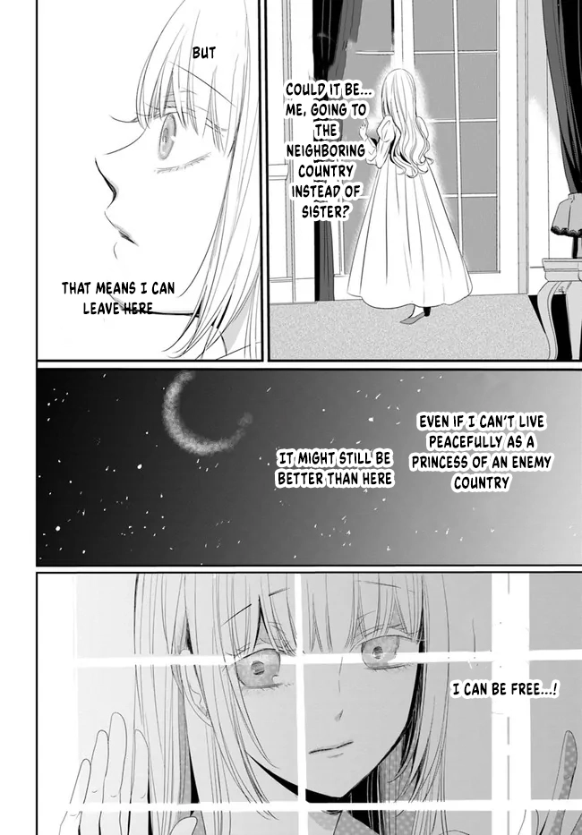 The Black Wolf King and the Silver Sacrificial Princess Chapter 1 Page 27